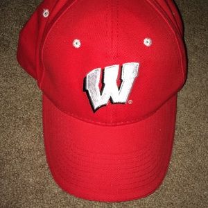 Wisconsin Badger hat